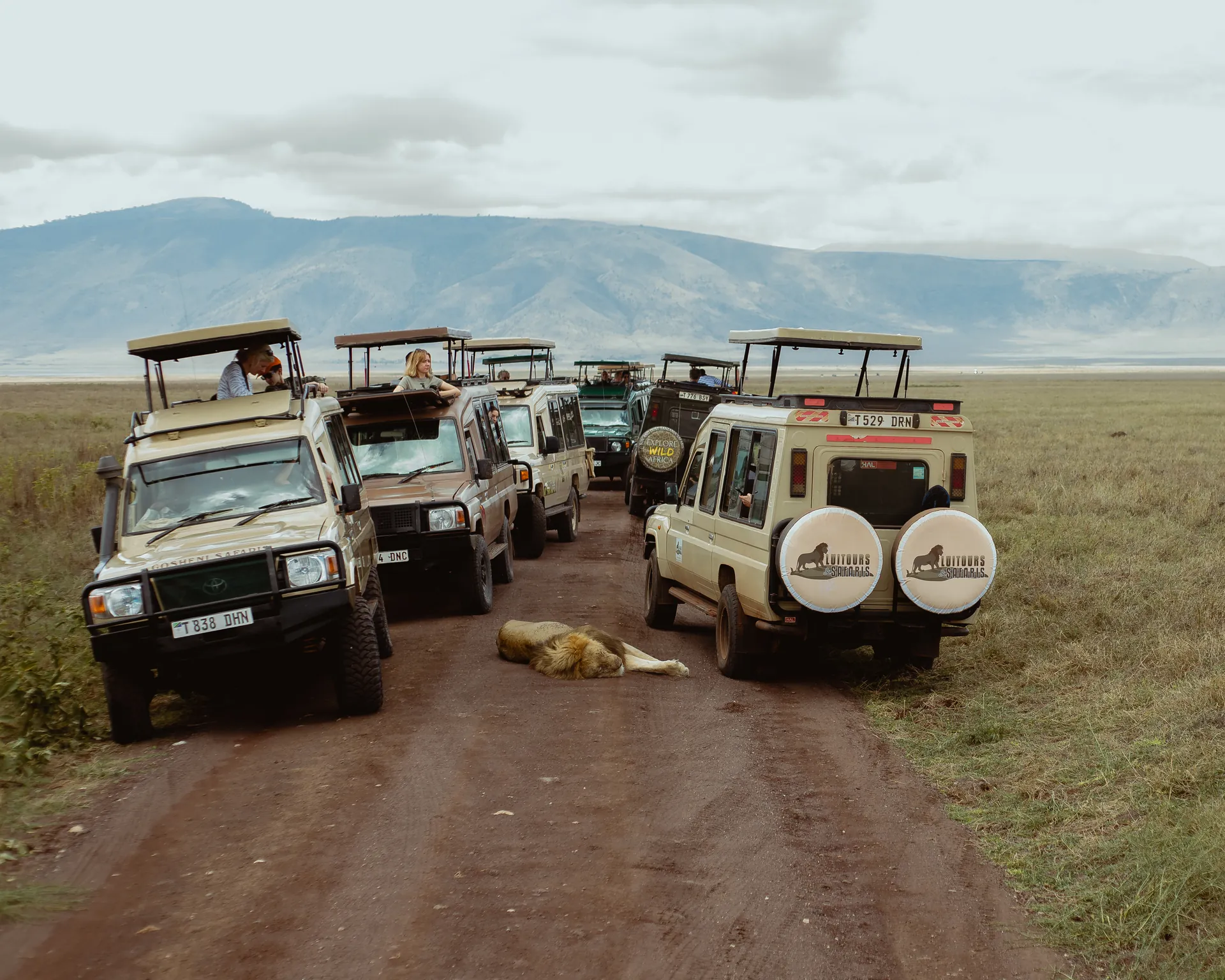 Wildlife in an East African safari landscape
